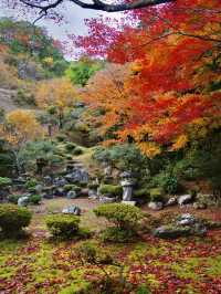 【ここ行って】めちゃ穴場の予約制紅葉スポット🍁庭園の風景が美しい✨