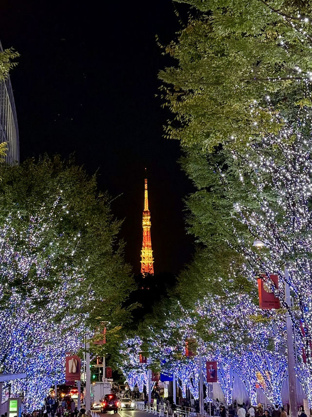 東京之旅｜六本木的聖誕節點燈！提早感受聖誕氣氛