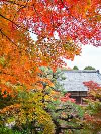 【滋賀】湖東三山最古のお寺で絶景紅葉