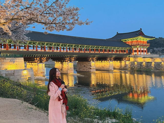 Springtime Magic: Sakura Nights at Woljeonggyo Bridge