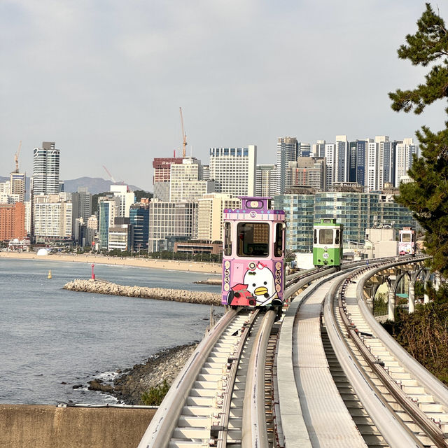 🇰🇷膠囊天空列車+觀光火車+小謙倉好讚👍