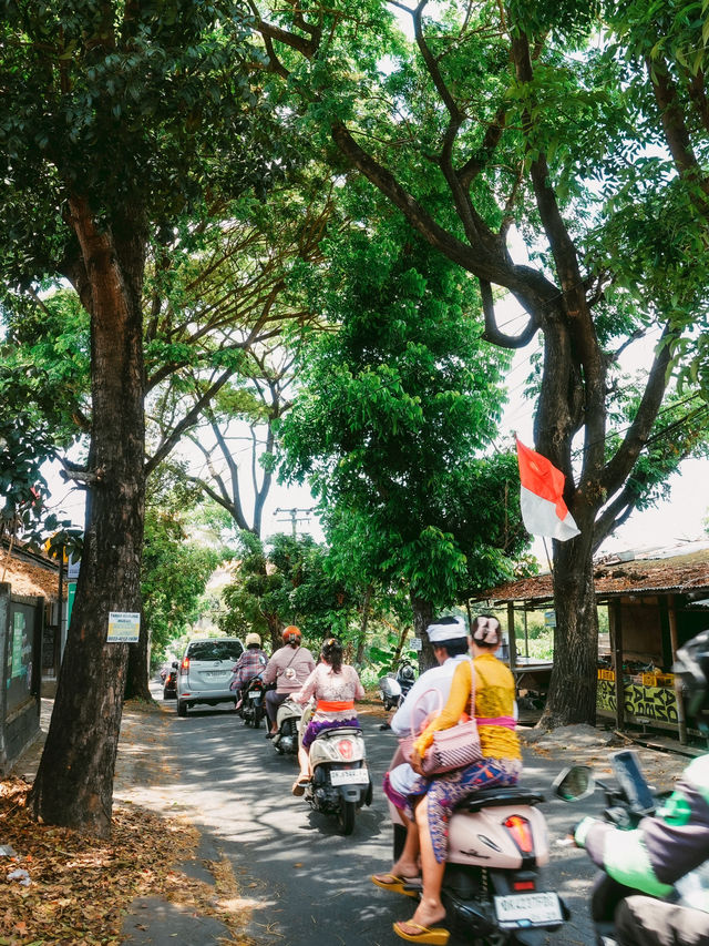 神々の島🏝️インドネシアのバリ島🇮🇩