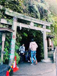 【神奈川県/鎌倉　“境内の湧き水で銭を洗うと富が増える”と言われている『銭洗弁財天 宇賀福神社』】