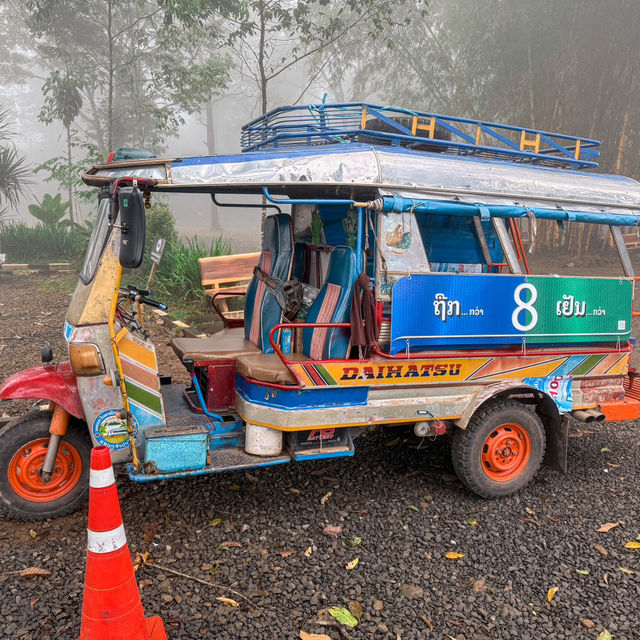 One Day Trip ปากเซ ลาวใต้ 