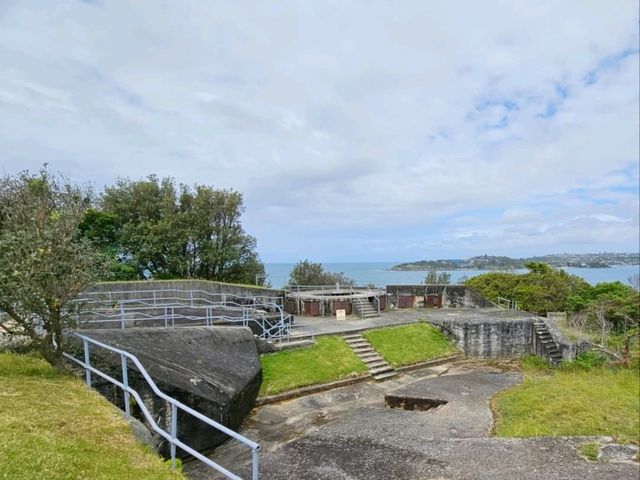 Scenic Drive Along Middle Head Road