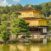 วัดคินคะคุจิ Kinkaku-ji Temple 