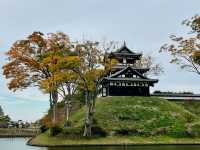 Unveiling the History of Takada Castle