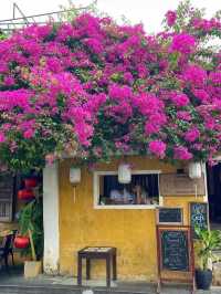 Hoi An Ancient Town: Where History, Culture, and Charm Meet
