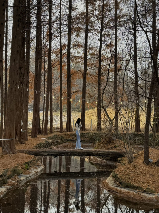 인스타 핫플 숲 속 카페 ‘메타포레스트’ 