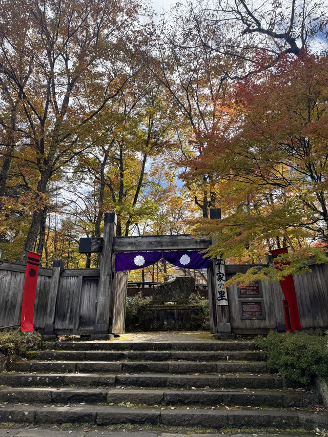 📍 【栃木】　平家の里の紅葉