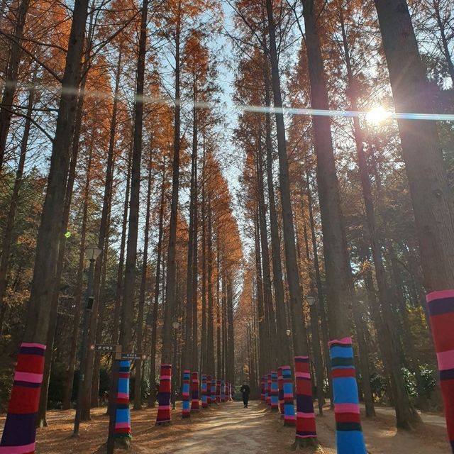 12월에도 단풍 볼 수 있는 울산대공원