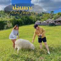 ม่อนแกะ เขาค้อ 🐑⛰️