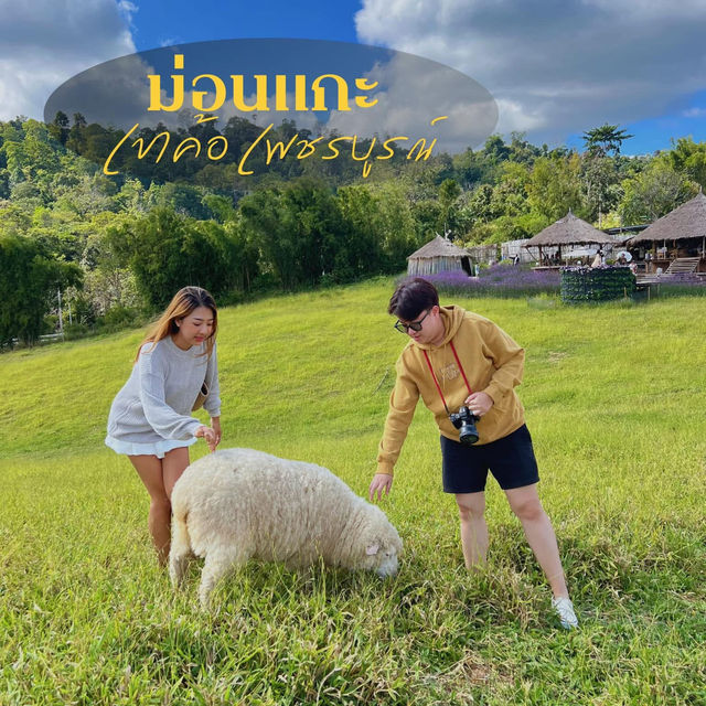 ม่อนแกะ เขาค้อ 🐑⛰️