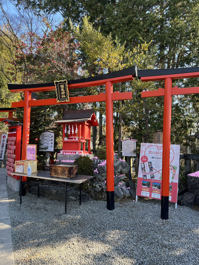 ［日本北陸旅行］三光稻荷神社⛩️最有趣的洗錢服務💰