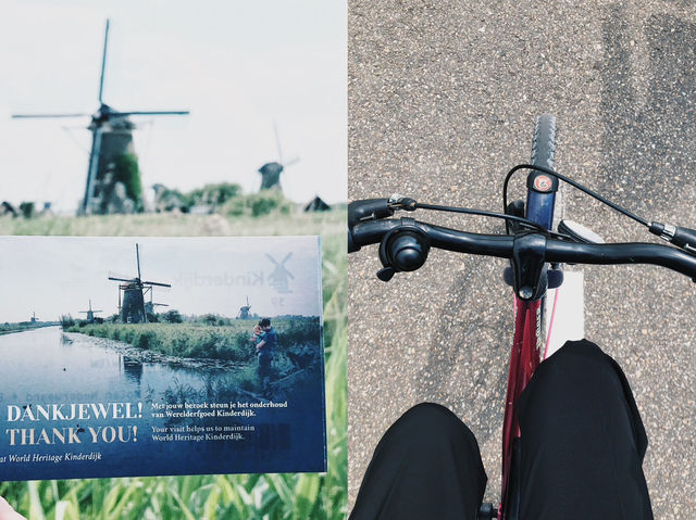 鹿特丹 / 荷蘭 風車之鄉：探索荷蘭小孩堤防的魅力