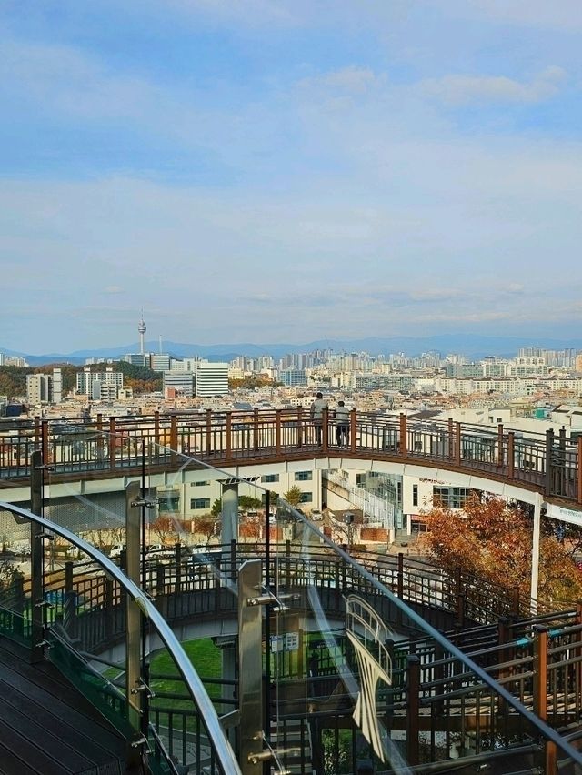 탁 트인, 높은 곳에서 보는 대구 전경 