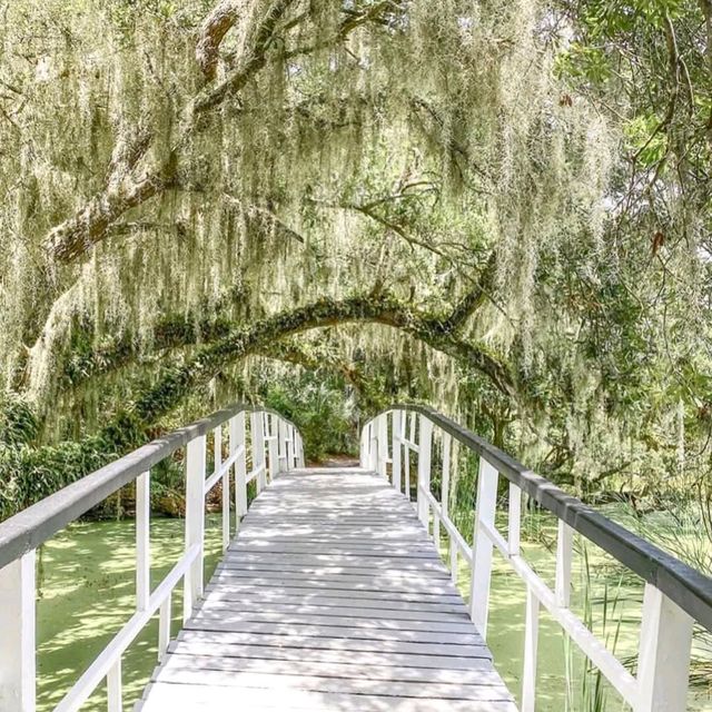 Charleston, South Carolina: