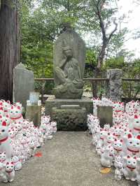 📍 Gotoku-ji Temple: สวรรค์ของคนรักแมวกวักในฤดูใบไ
