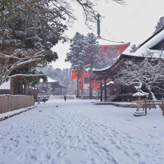 Koyasan #โคยะซัง 高野山 หน้าหนาว