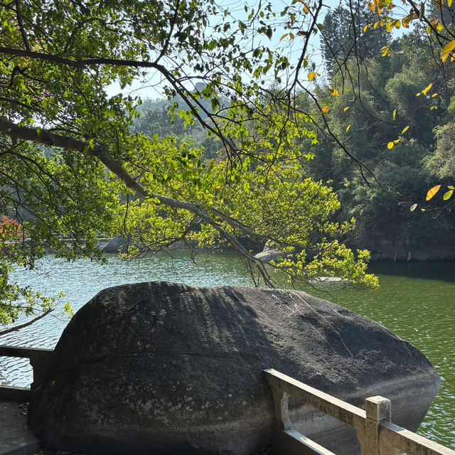 金灣金山公園：陽光下的自然☀️
