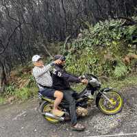 Short trip to Papandayan Mountain in Garut via Bandung with Panoramic Train 