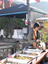 เที่ยวหมู่บ้านรักไทย ต้องมานอนไร่ชา ที่ไร่ชาเฉินฟง