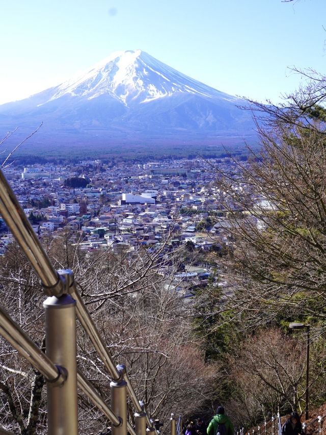【山梨 冬の日帰り旅】富士山と五重塔の絶景 人気のスポット！