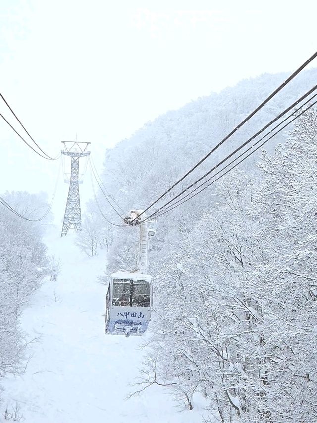 【青森】日本三大樹氷『八甲田山』