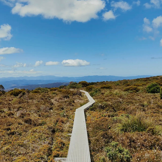 Hartz Mountains National Park