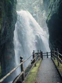 高知・中津渓谷県立自然公園🌿自然が織りなす癒しの絶景