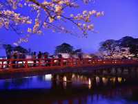 《小田原》名城の春景色