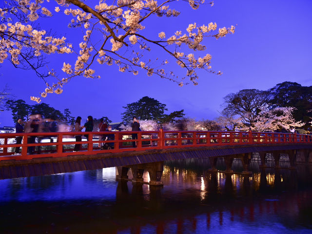 《小田原》名城の春景色
