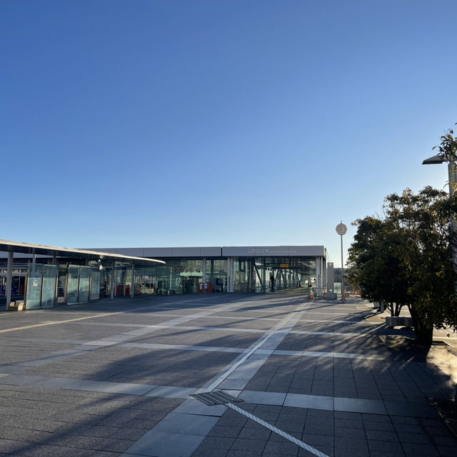 日立駅のすぐそばにあり、綺麗な朝日を拝むことができる。