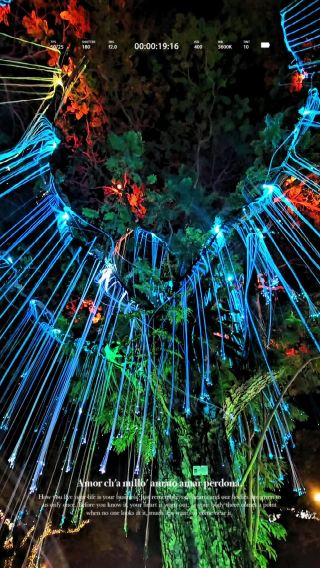 Discover the Magic of Avatar Garden