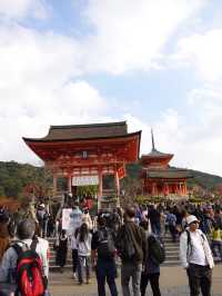 【京都】秋の清水寺で特別なひとときを🍁