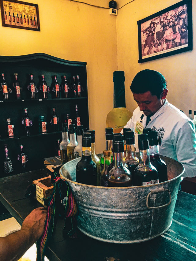 【メキシコ】お酒好きには堪らない！本場のテキーラを🍸