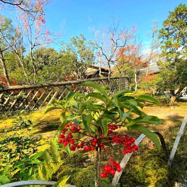Koetsuji Temple