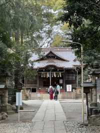 東京神社遊記：代代木八幡宮！