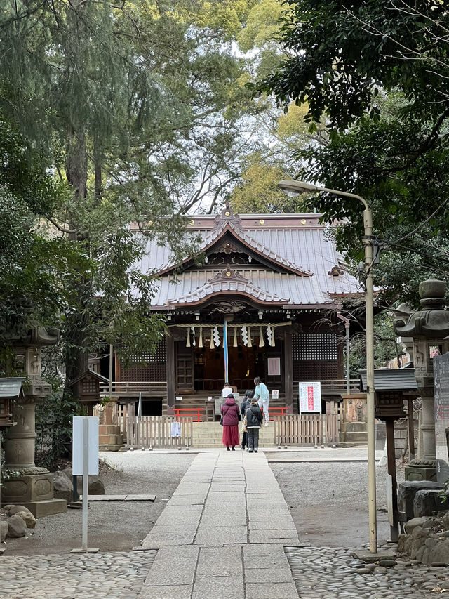 東京神社遊記：代代木八幡宮！