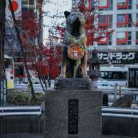 A Heartwarming Tribute to Loyalty at Hachiko's Statue