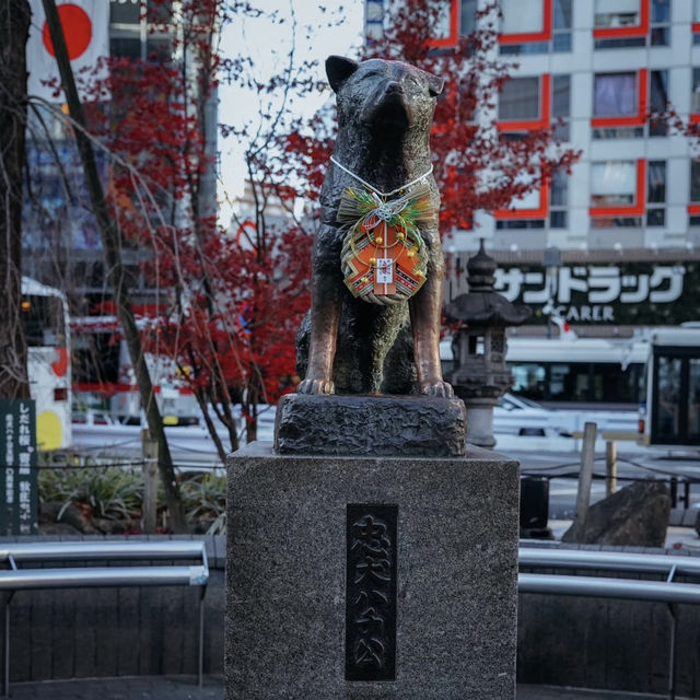 A Heartwarming Tribute to Loyalty at Hachiko's Statue