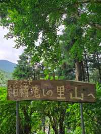 1万株ものハナショウブが咲くスポット、紫陽花もおすすめ。