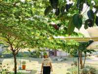🏕️ บ้านสวนกำไรสุข 🌼 ฉะเชิงเทรา 