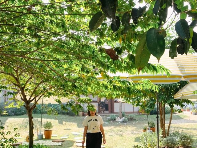 🏕️ บ้านสวนกำไรสุข 🌼 ฉะเชิงเทรา 