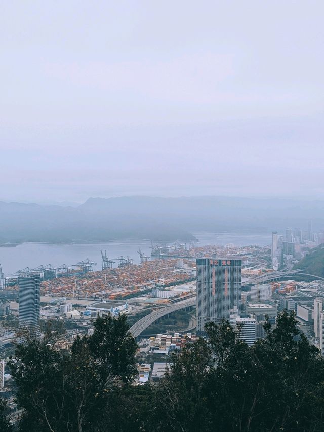 深圳 | 踏上700公尺雲上才能喝到