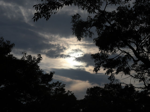 Escape to Nature: A Day Hike to Mount Takao from Tokyo