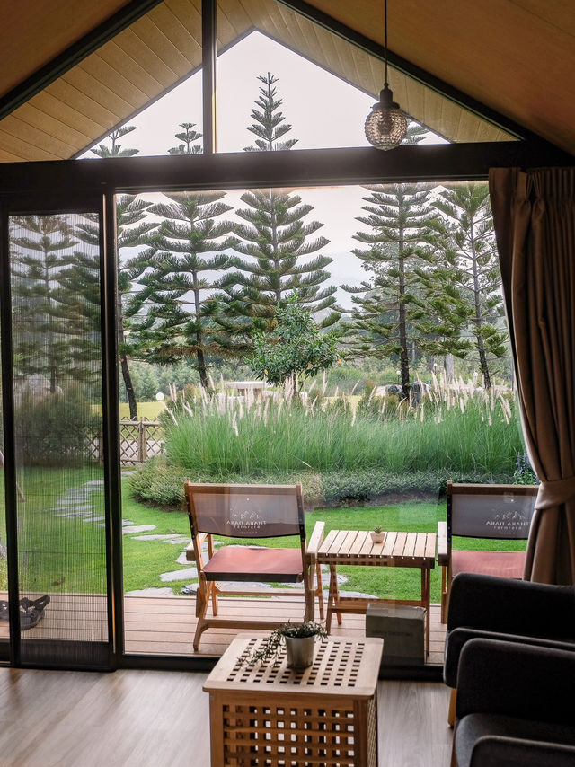 Thara Dara Resort ที่พักเขาใหญ่ดีต่อใจ🏠🌳