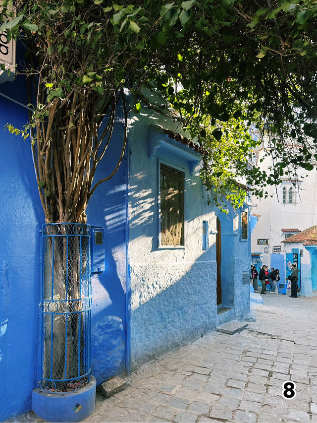 🇲🇦シャウエン　旧市街（メディナ）