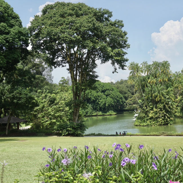 Escape to Nature’s Oasis: A Romantic Stroll Through Singapore's Iconic Gardens