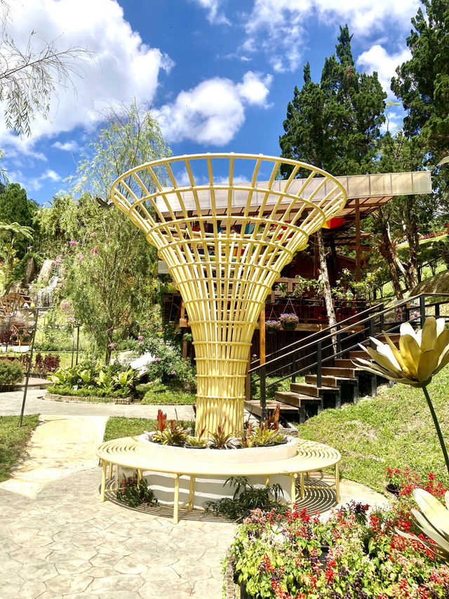 The Climate and Design @Betong Garden